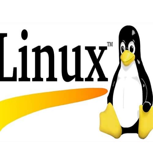 Linux: Files and directories in the Linux filesystem