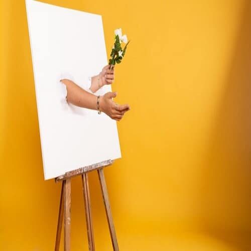 How to design Facebook and IG stories using Canva