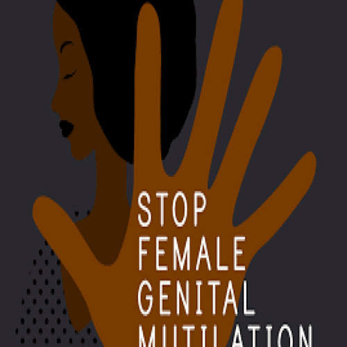 Female Genital Mutilation (FGM) Awareness Training Course