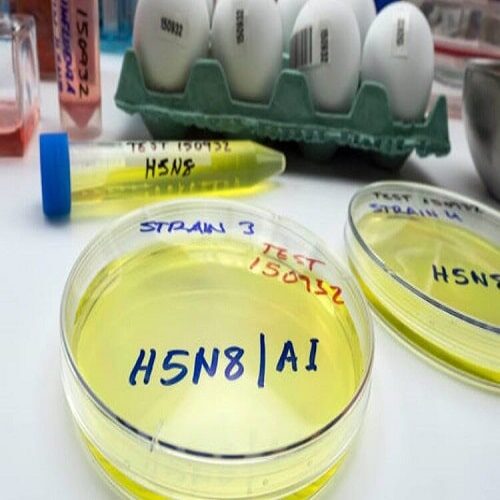 Infection Prevention and Control Awareness