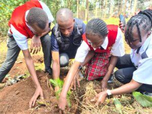 Youth Future Lab, Naturehub Collective, and KCB Bank Plant 1,700 Trees, Empowering Youth to Drive Climate Action in Kenyan Schools
